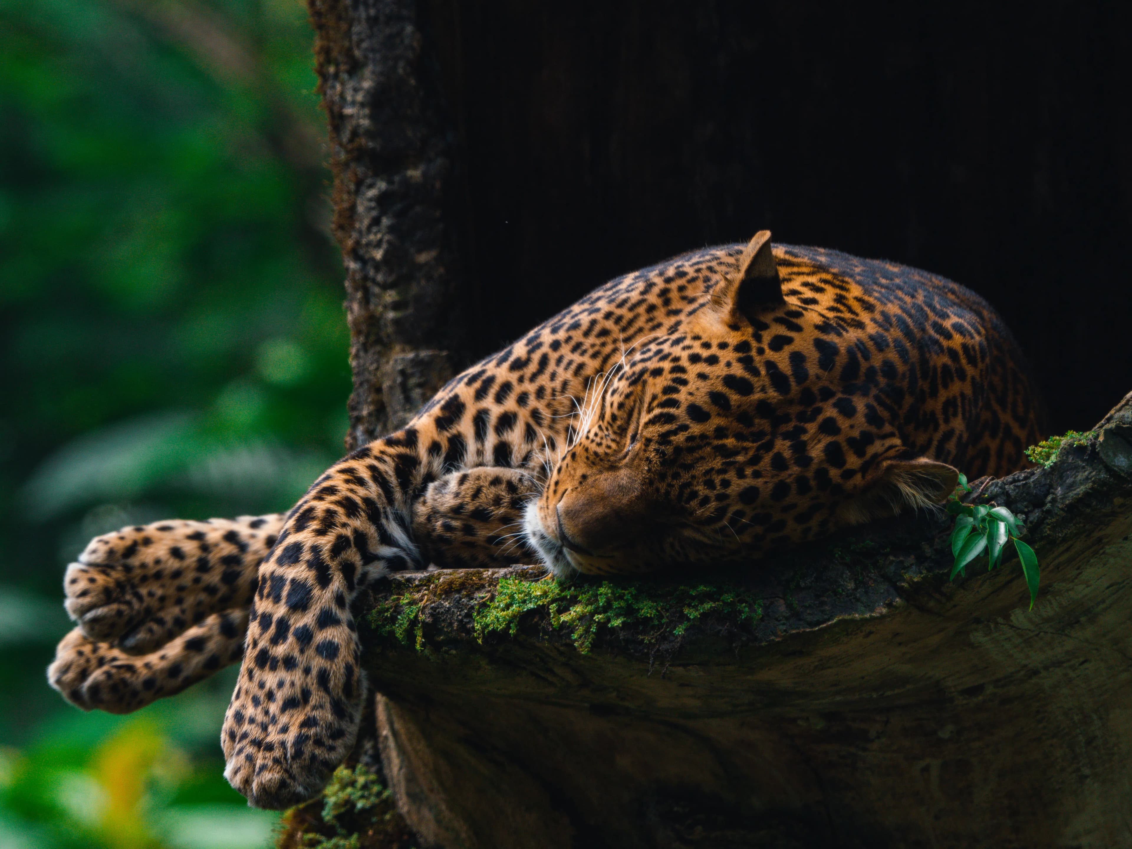 Nature & Wildlife